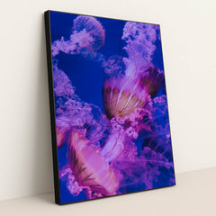 7077675565091 - Product Image