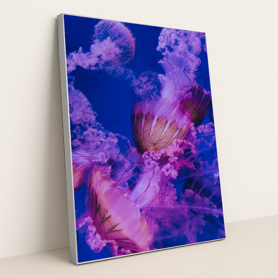 7077675565091 - Product Image