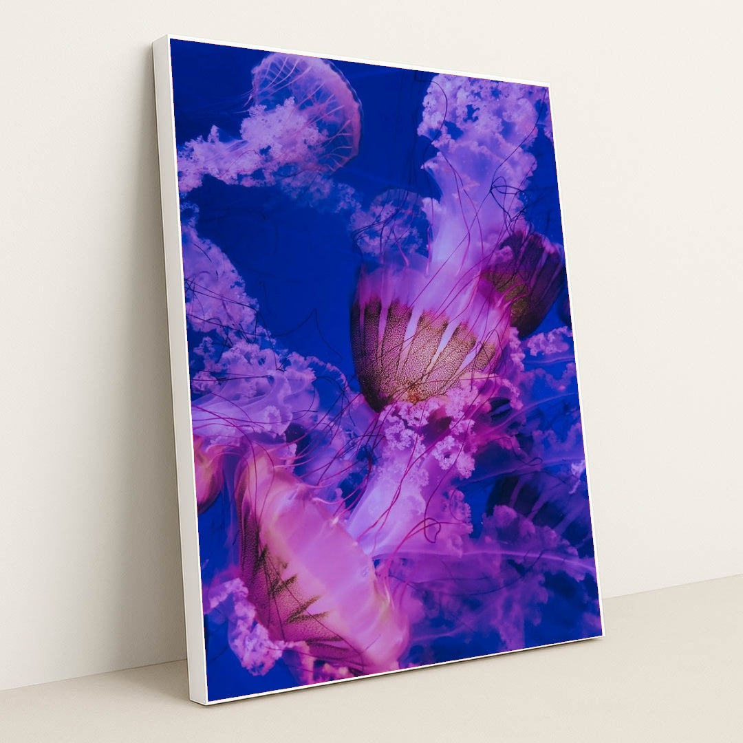 7077675565091 - Product Image