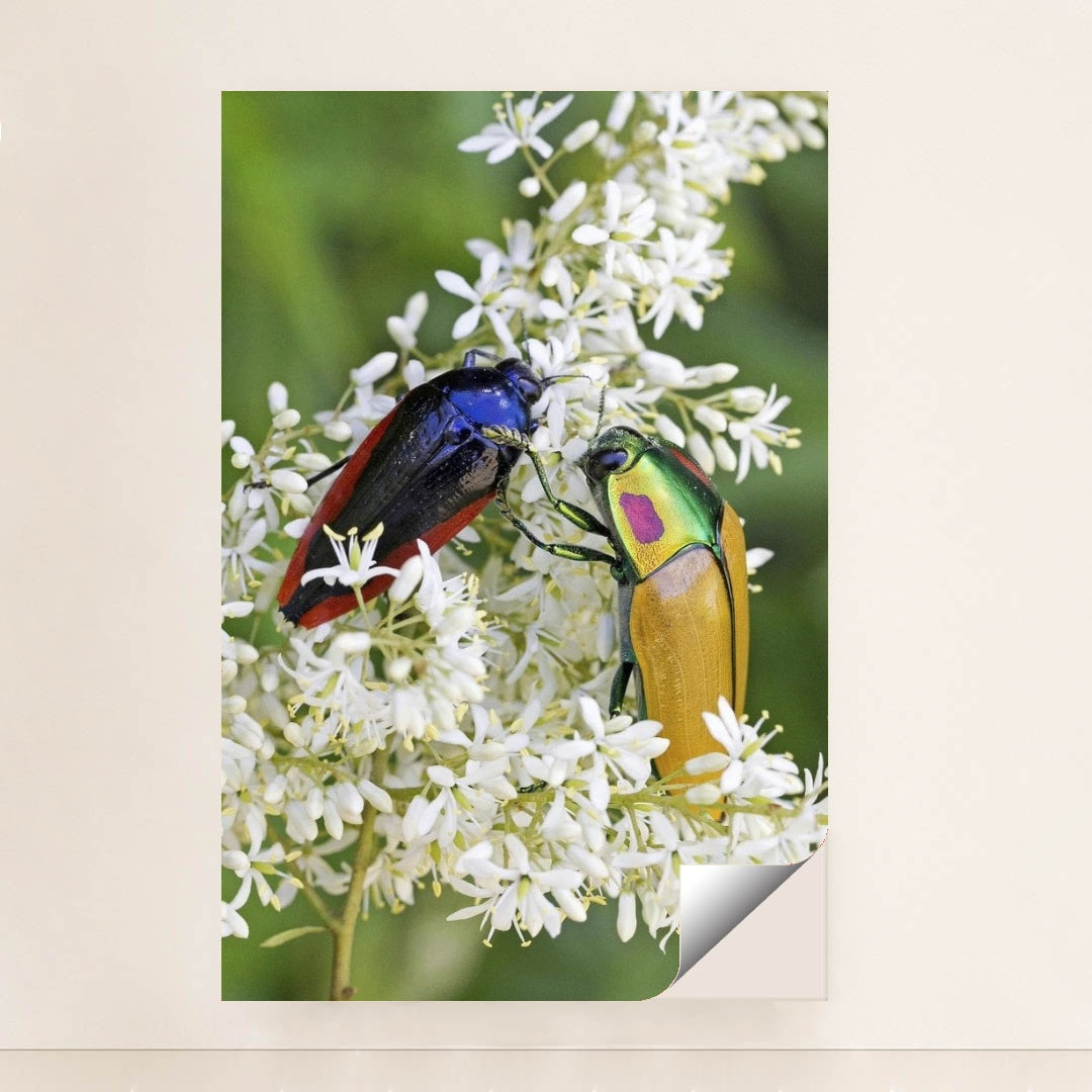 7090297438243 - Product Image