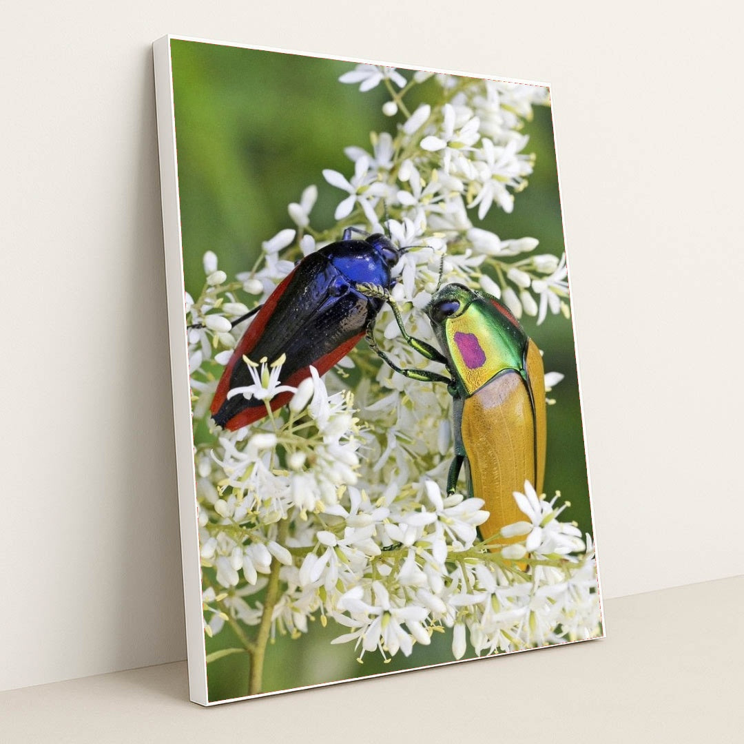 7090297438243 - Product Image