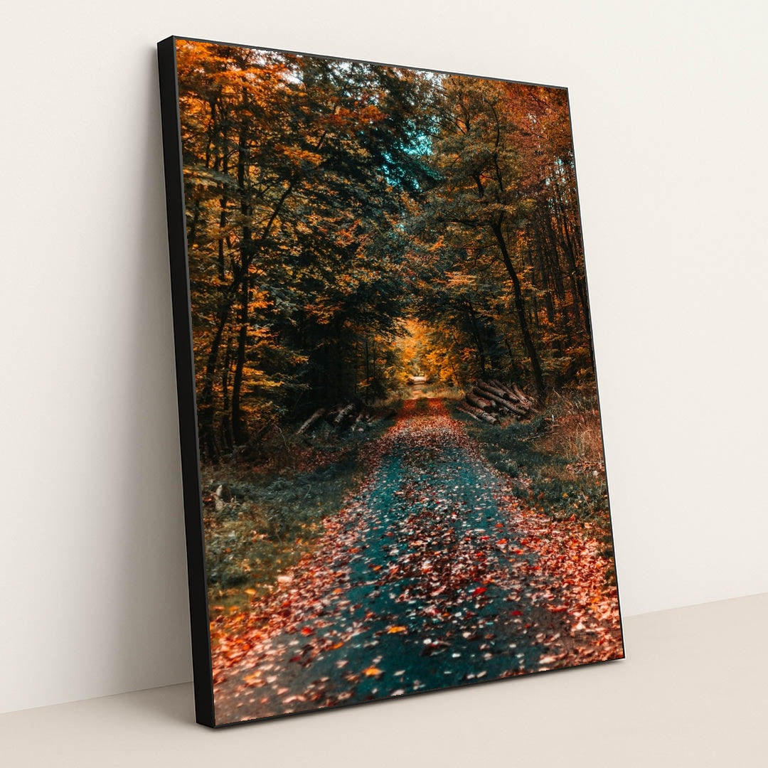 Journey Through Autumn by David von Diemar - Black Frame Stretchiez