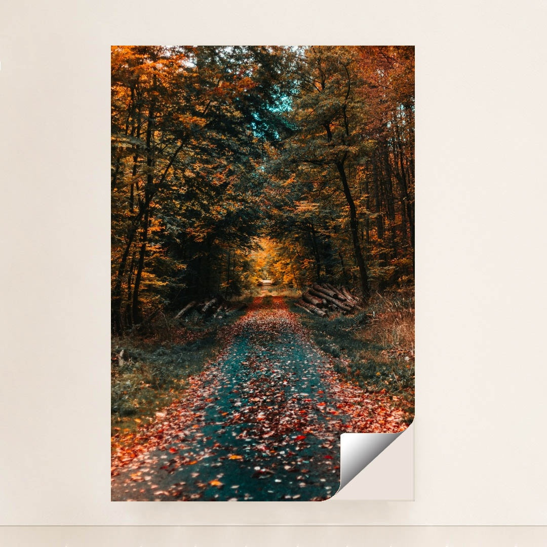 Journey Through Autumn by David von Diemar - Peeliez