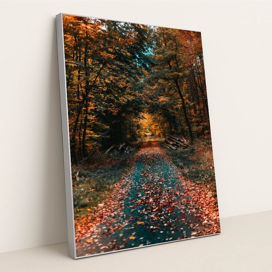 Journey Through Autumn by David von Diemar - Silver Frame Stretchiez