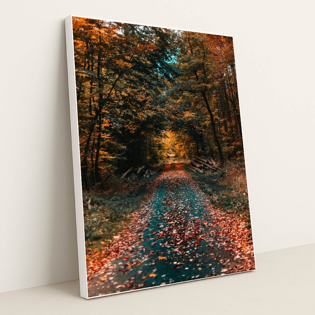 Journey Through Autumn by David von Diemar - White Frame Stretchiez