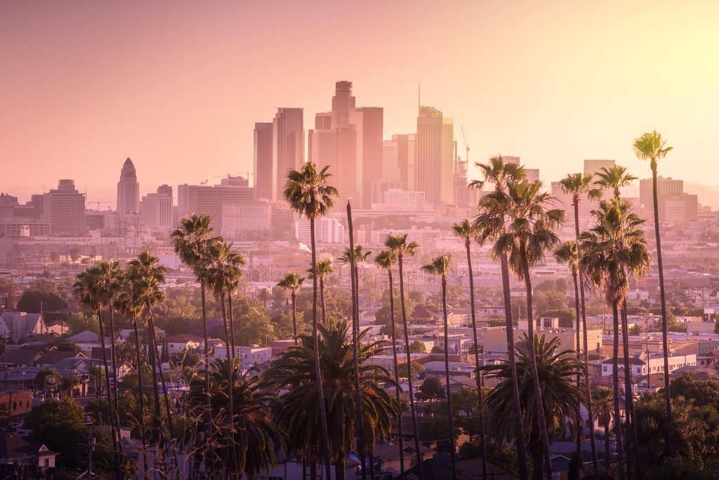 Stock Photos - Beautiful sunset of Los Angeles downtown skyline and palm trees in foreground