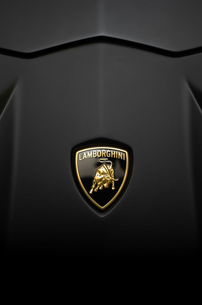Close-up of Lamborghini emblem on matte black surface, showcasing The Lambo Look car wall art.