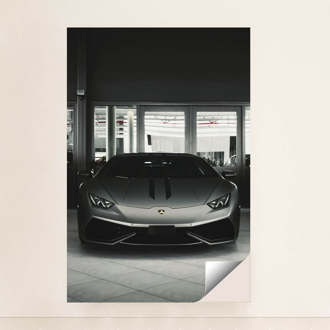 Lamborghini Stare Down by Reinhart Julian - Peeliez