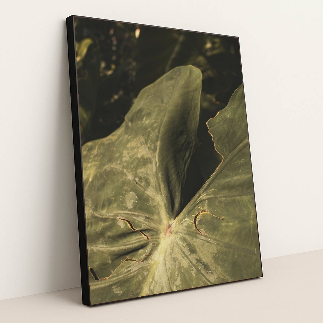 7090218893347 - Product Image