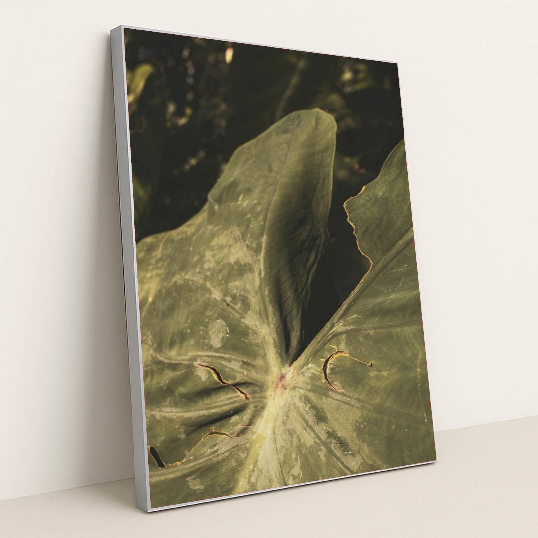 7090218893347 - Product Image