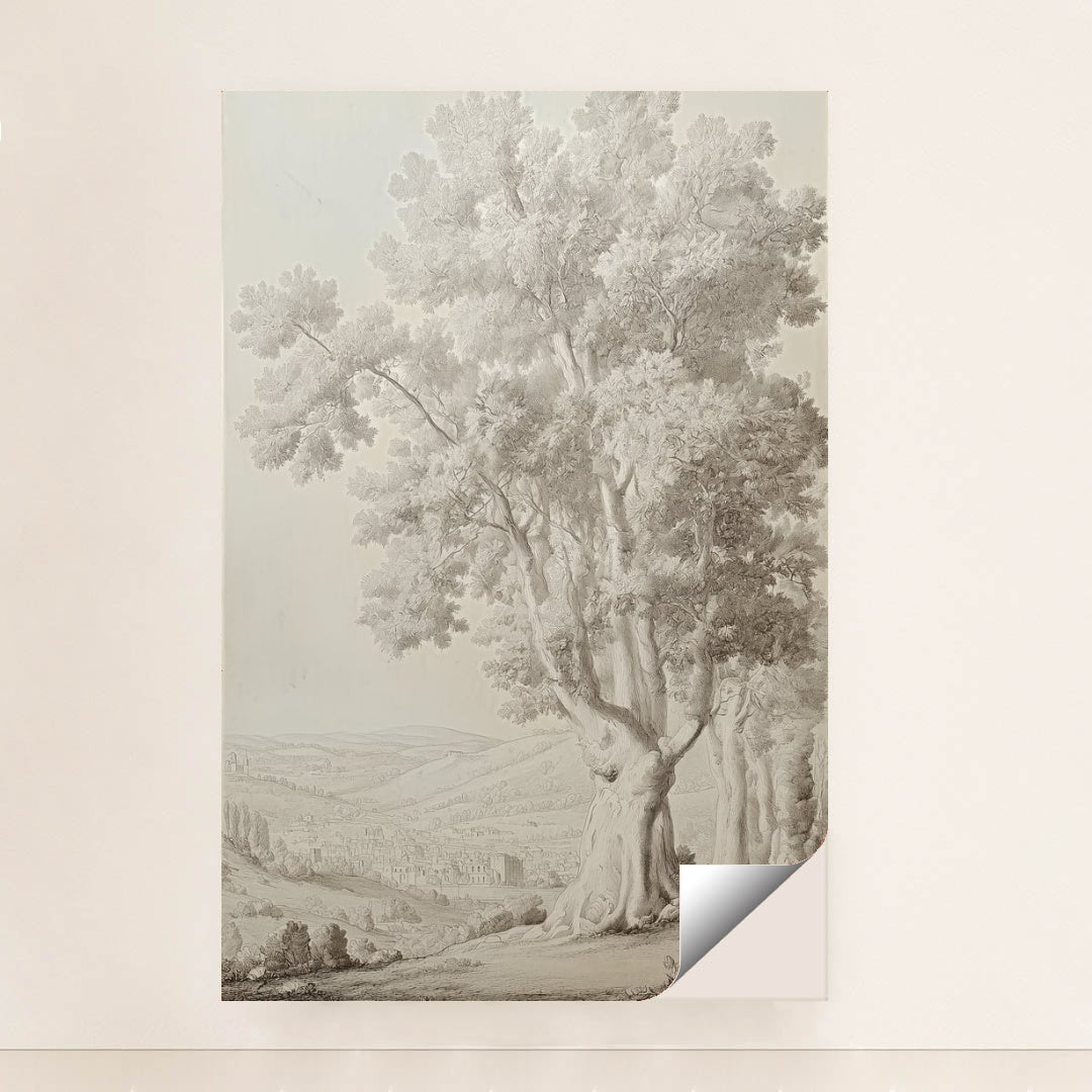 6395 - Product Image