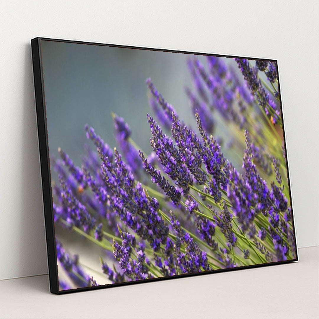 7090291638307 - Product Image