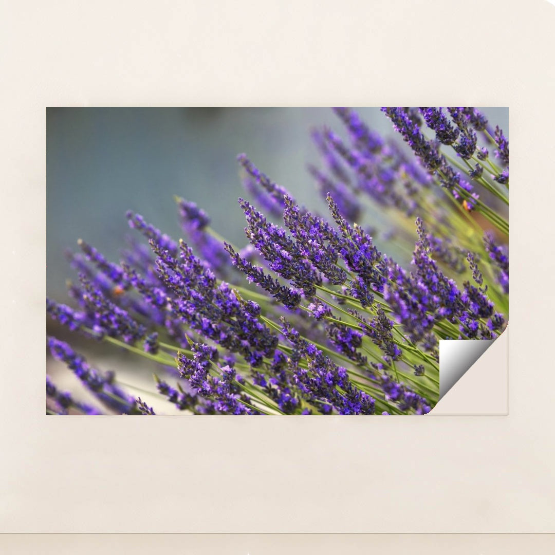 7090291638307 - Product Image