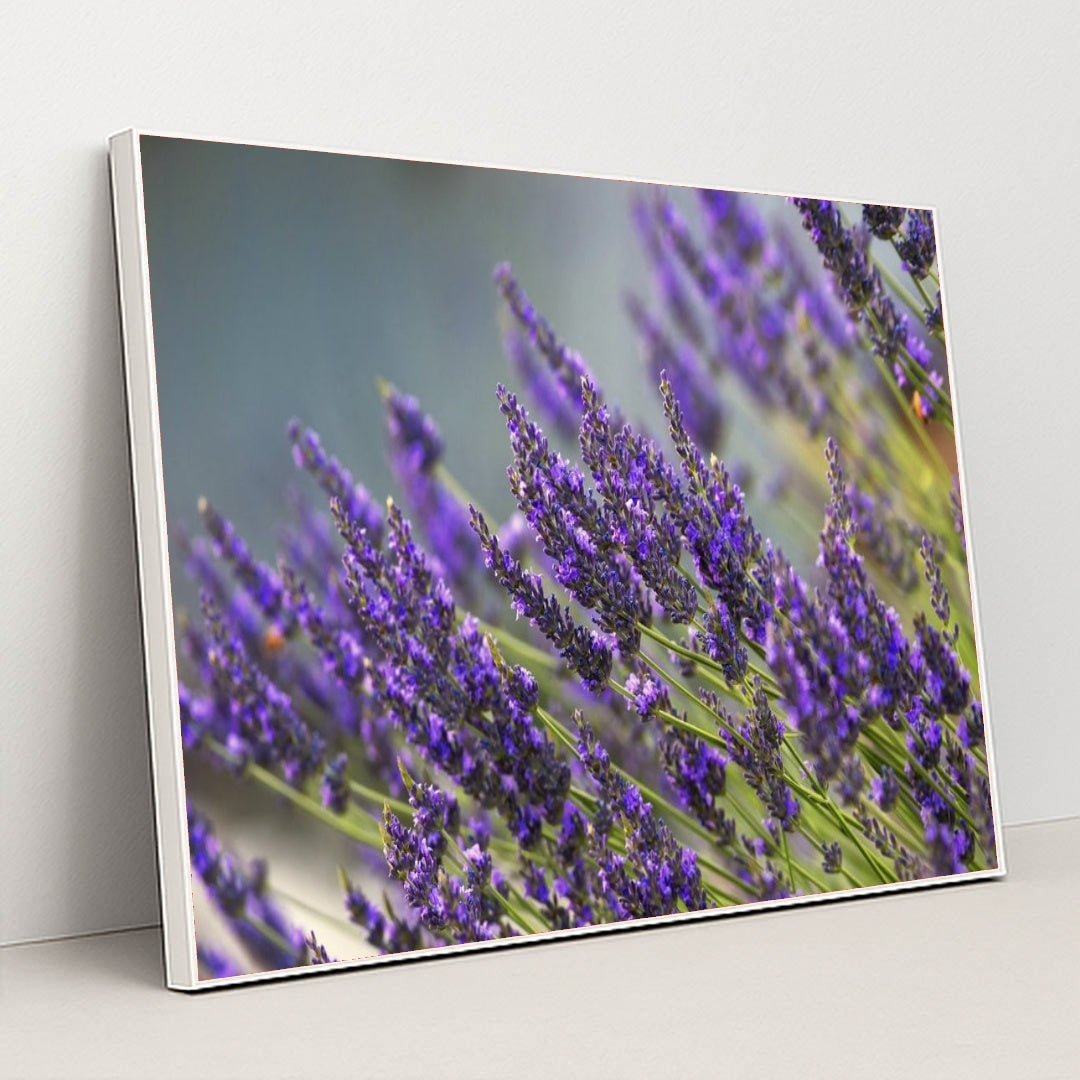 7090291638307 - Product Image