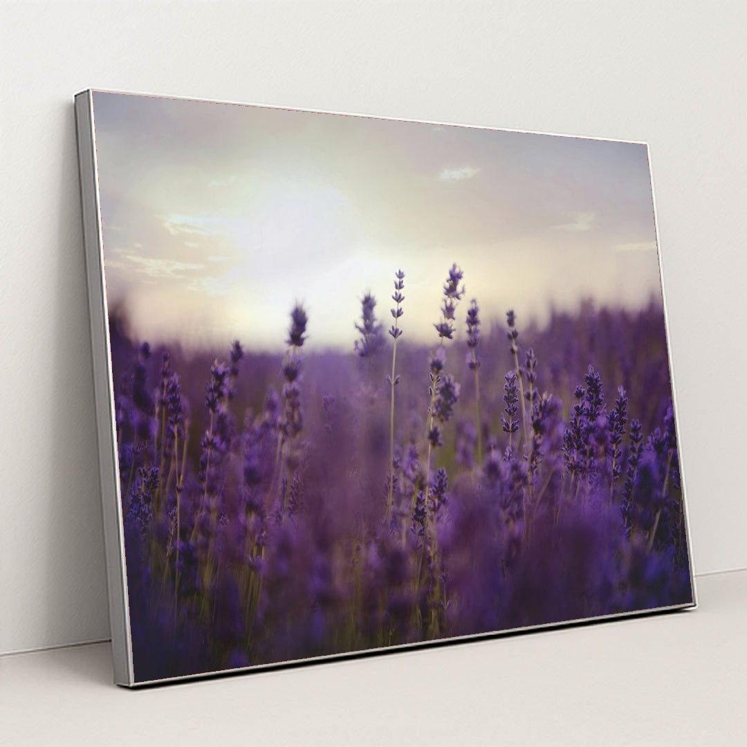 7090295668771 - Product Image