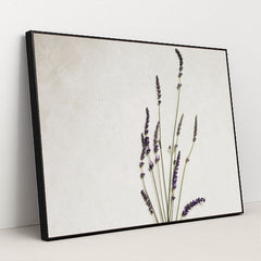 7090288427043 - Product Image