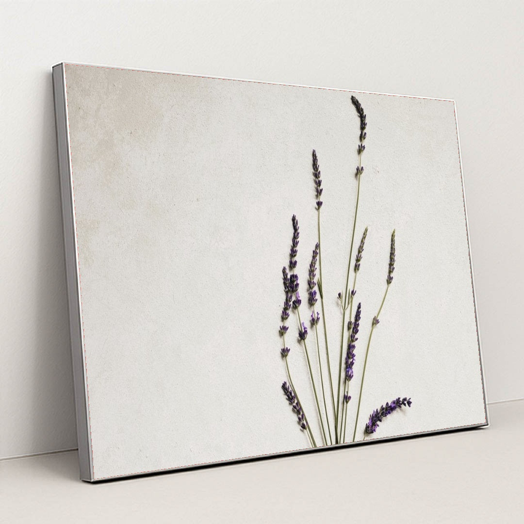 7090288427043 - Product Image