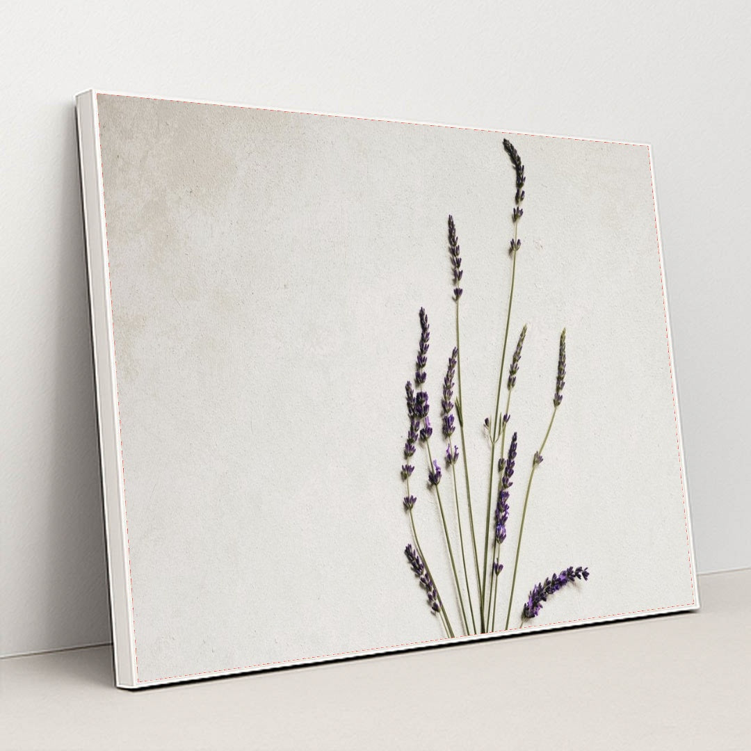 7090288427043 - Product Image