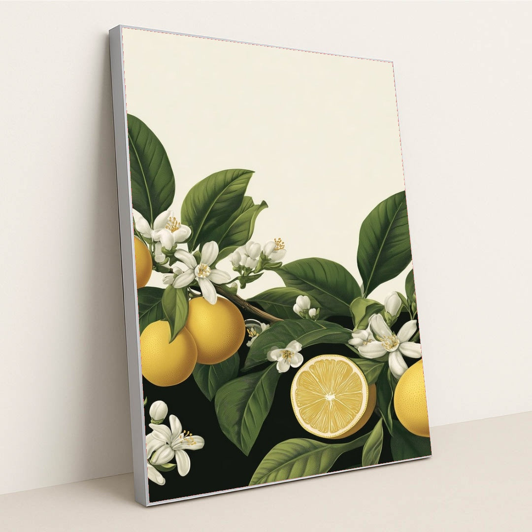 6222 - Product Image