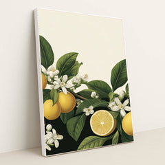 6222 - Product Image