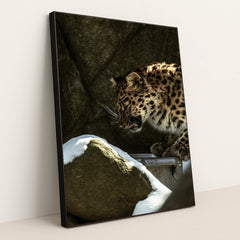 7090355437603 - Product Image