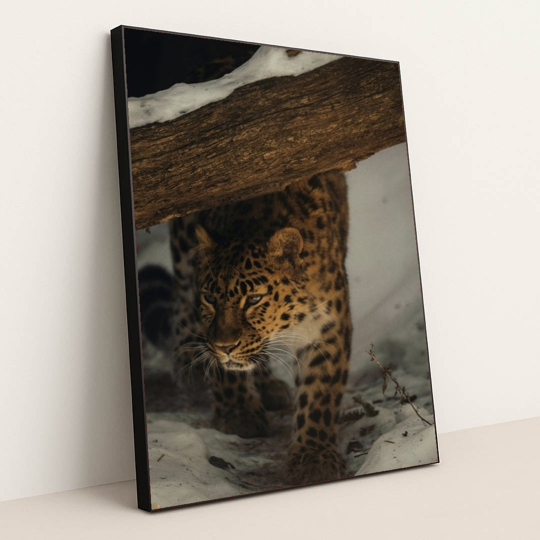 7090355306531 - Product Image