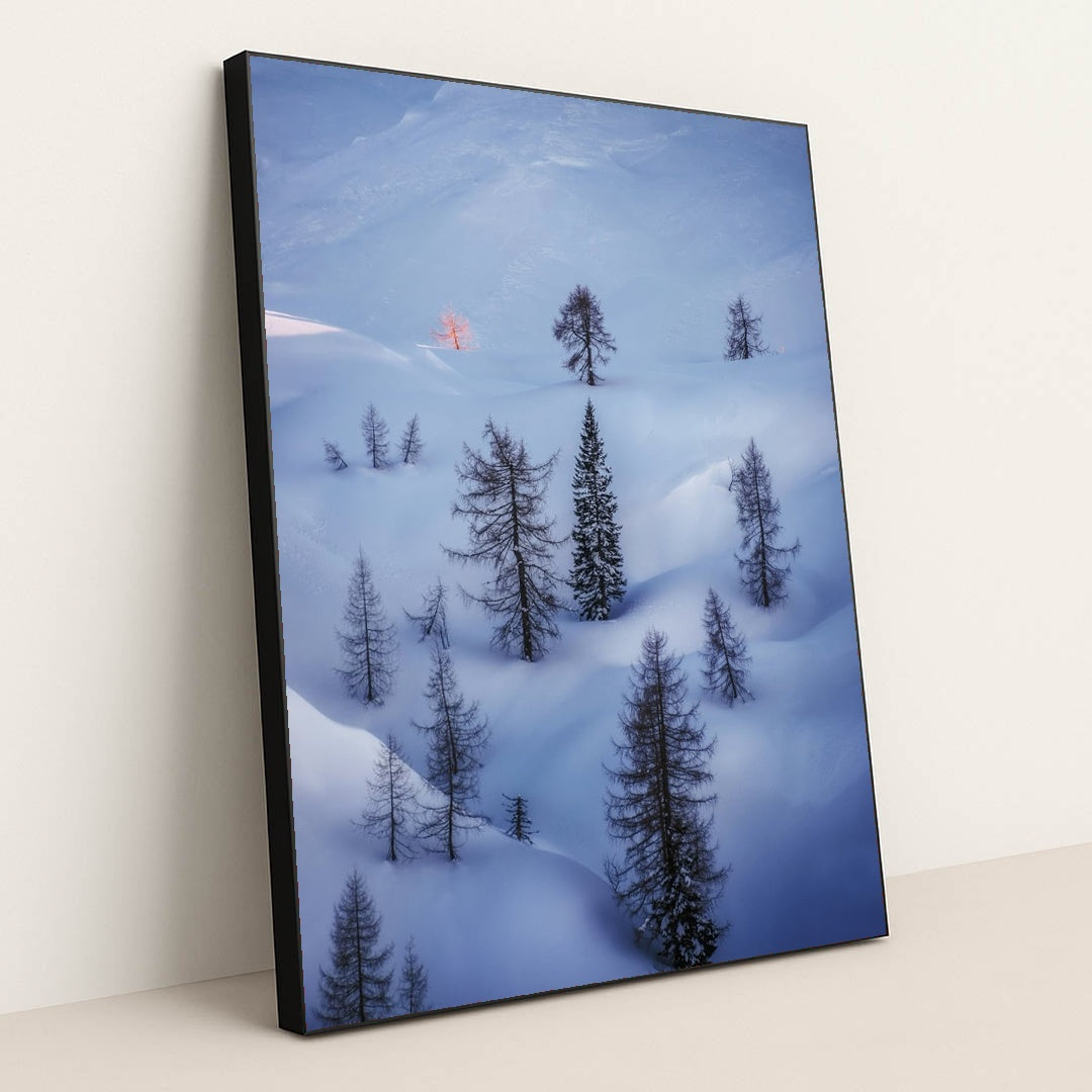 Light Meant for One by Ales Krivec - Black Frame Stretchiez