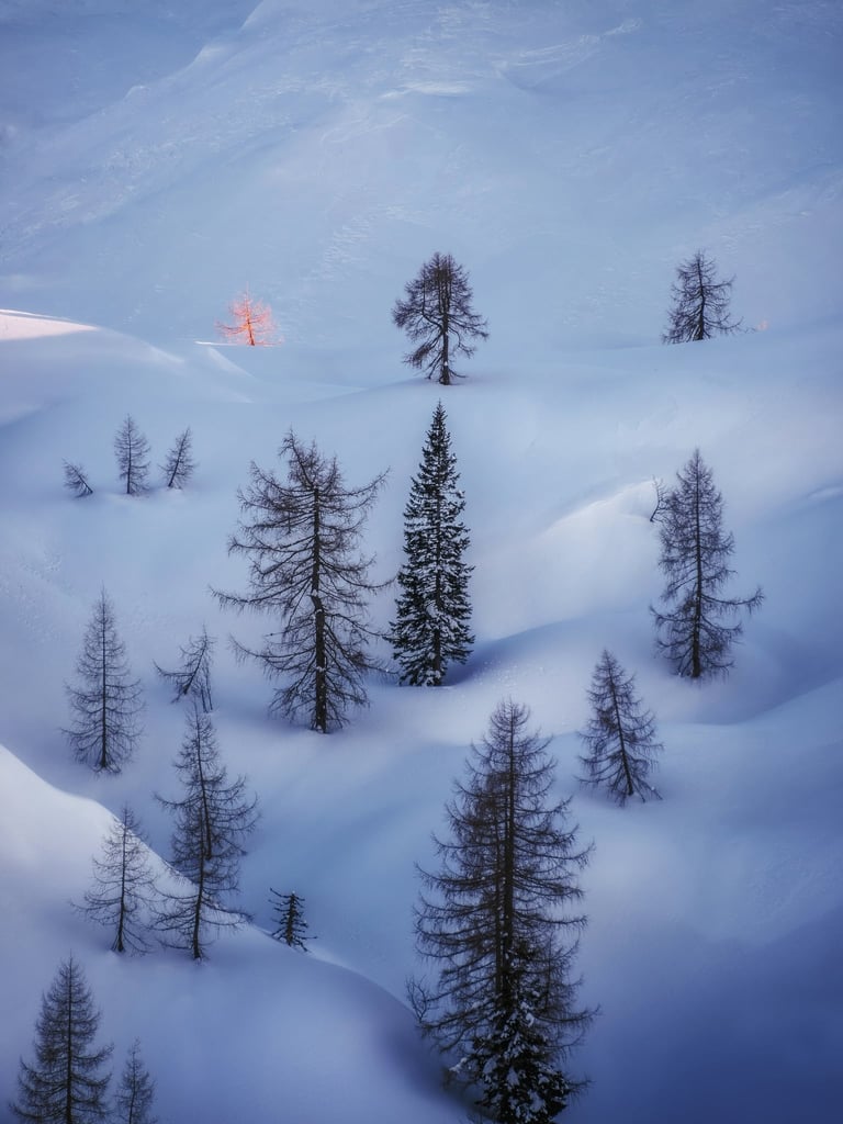Light Meant for One by Ales Krivec