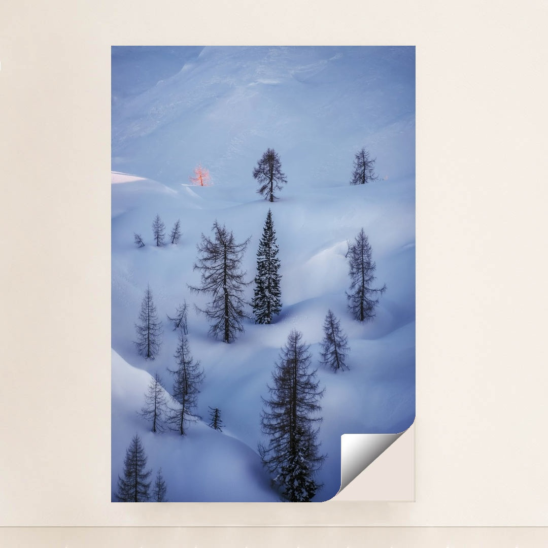 Light Meant for One by Ales Krivec - Peeliez