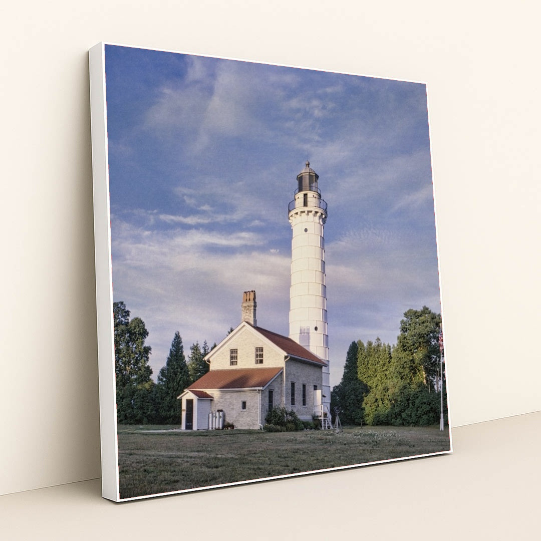 7090341511203 - Product Image