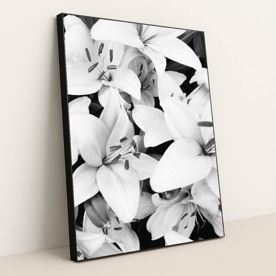 Lily Noir by Eugene Golovesov - Black Frame Stretchiez