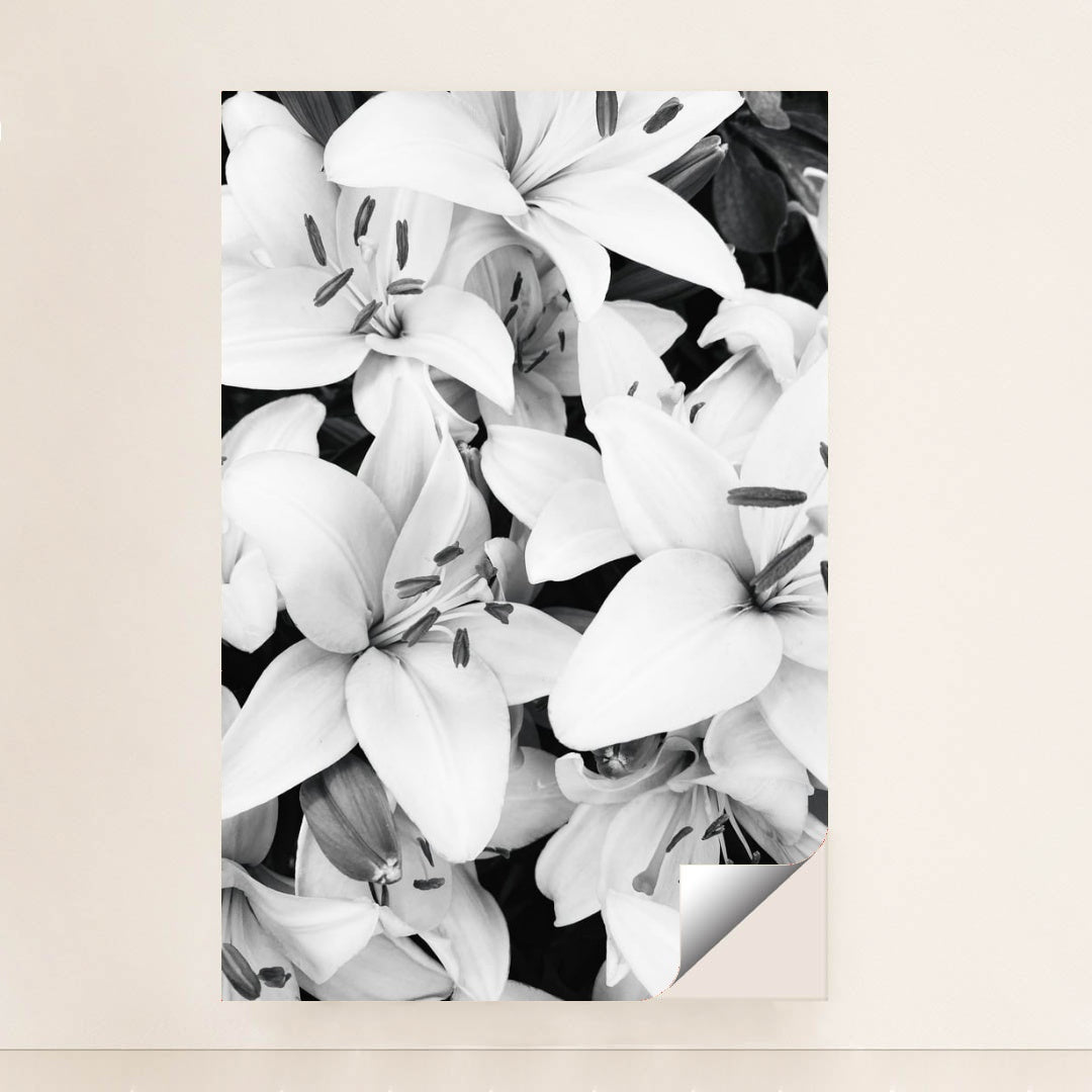 Lily Noir by Eugene Golovesov - Peeliez