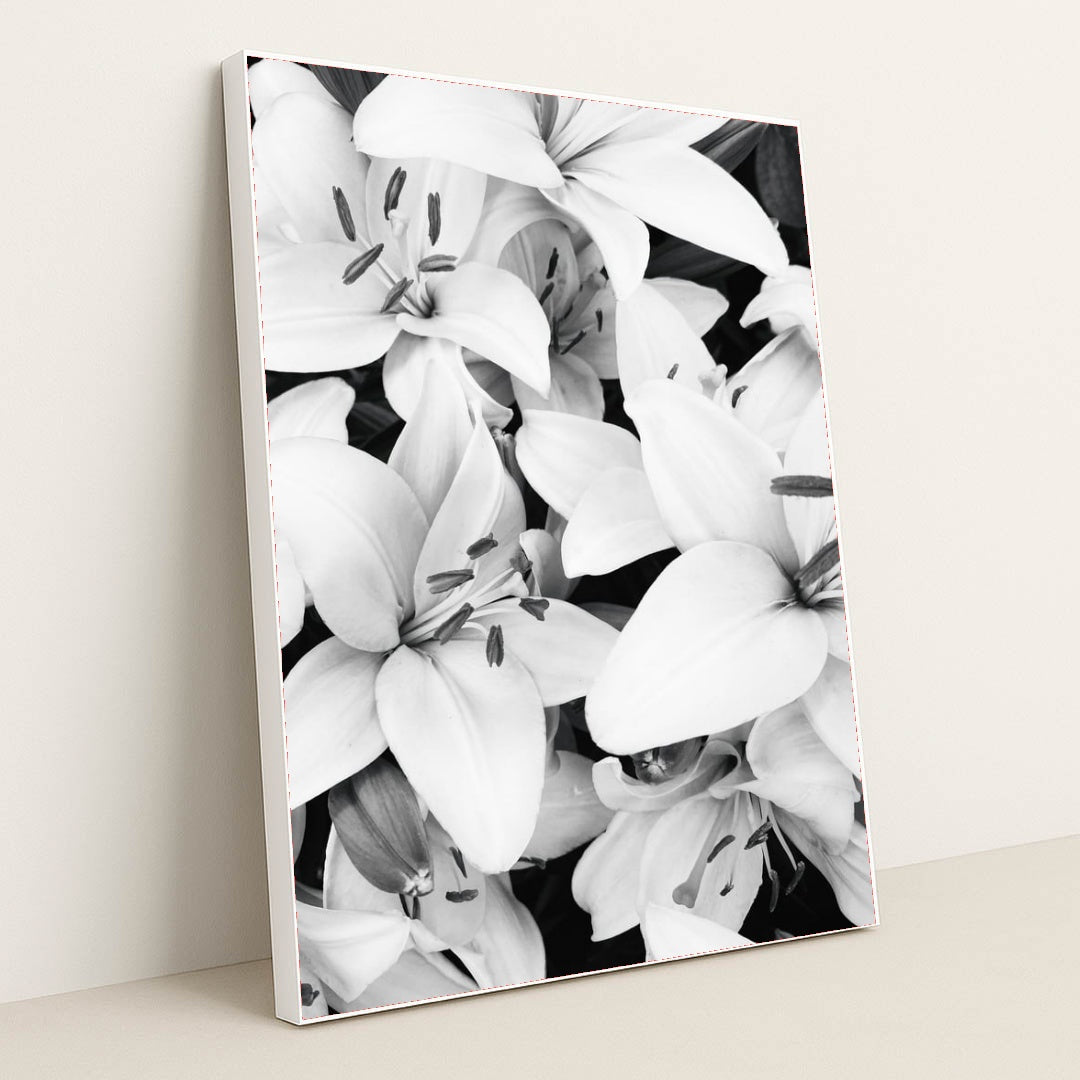Lily Noir by Eugene Golovesov - White Frame Stretchiez