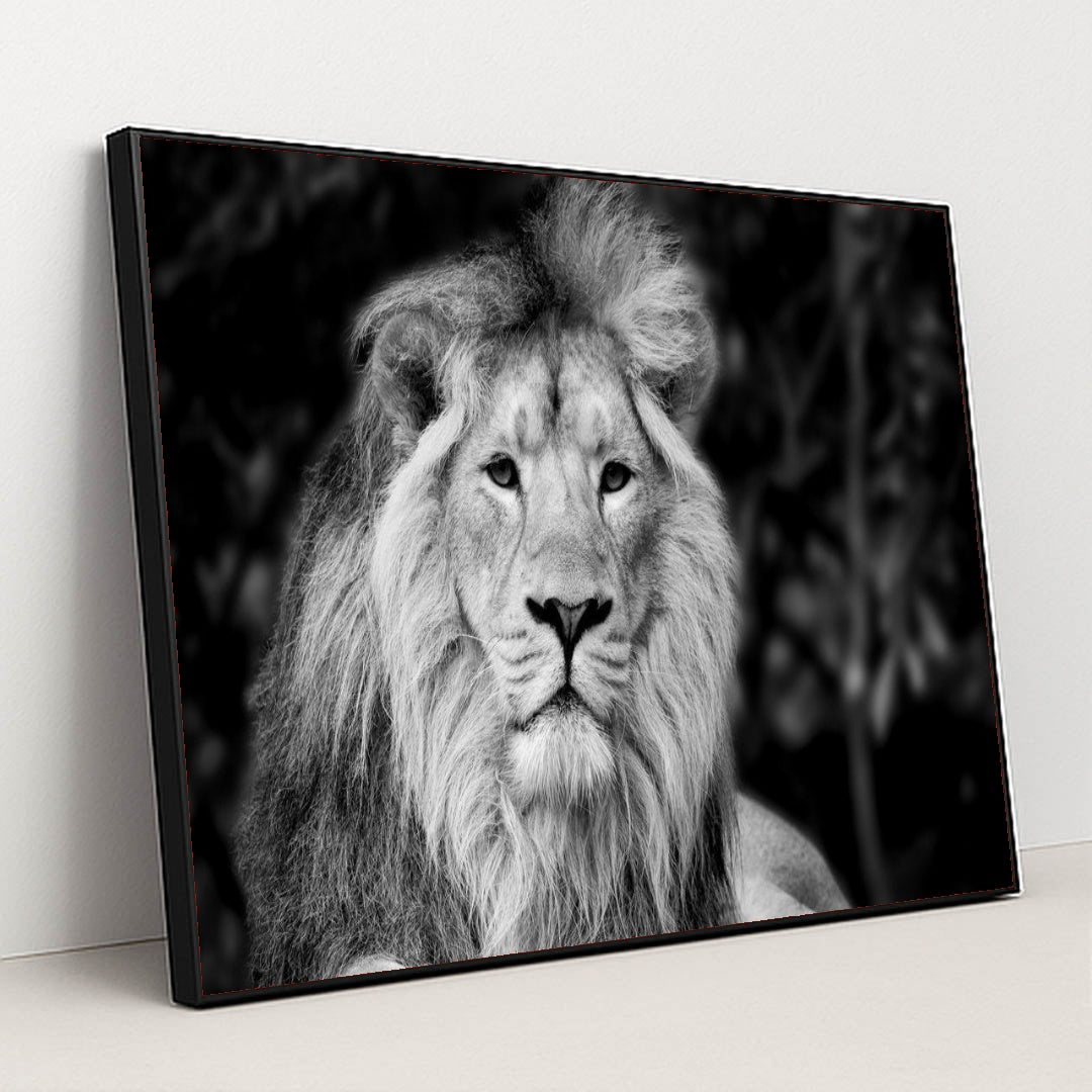 7082785472547 - Product Image