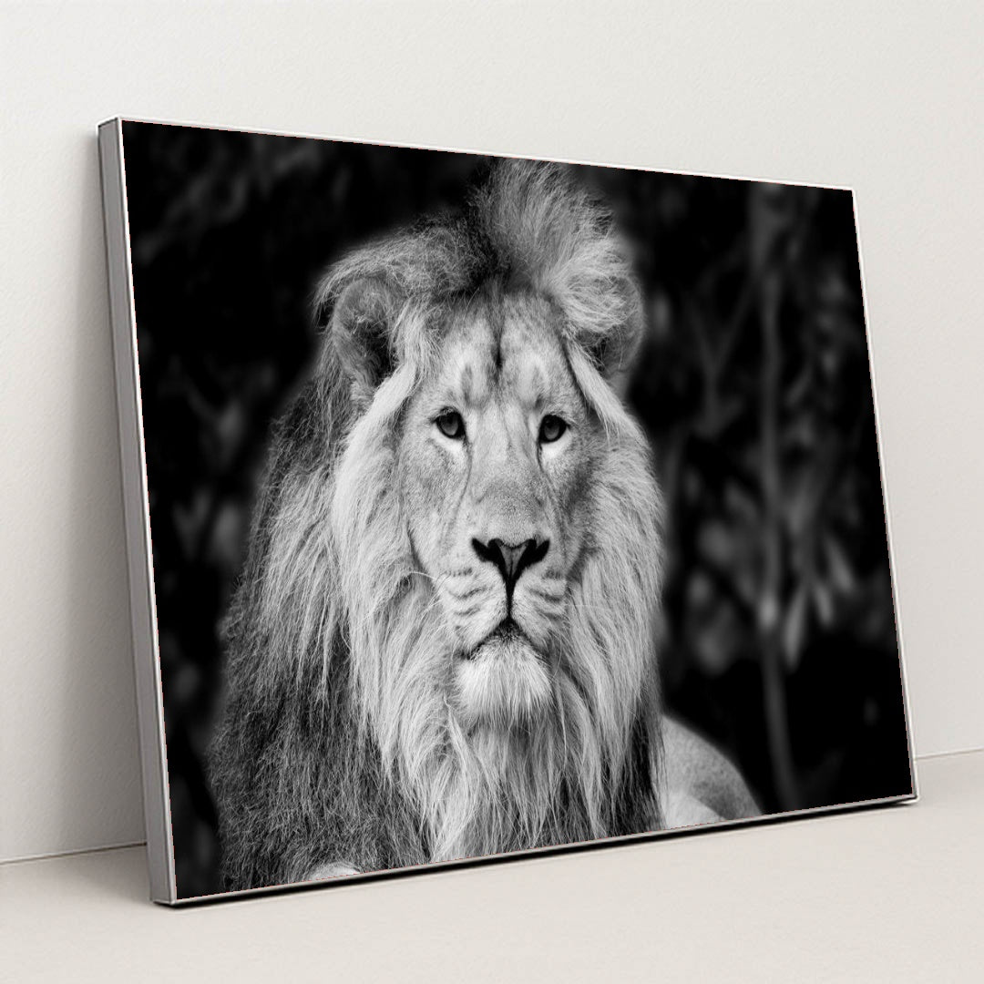 7082785472547 - Product Image