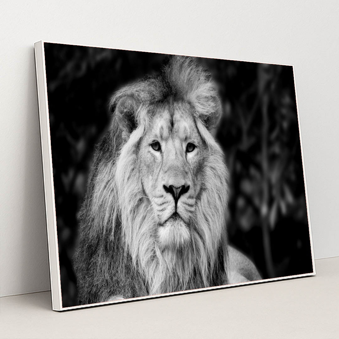 7082785472547 - Product Image