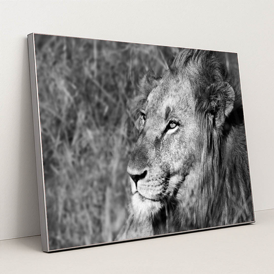 7082784981027 - Product Image