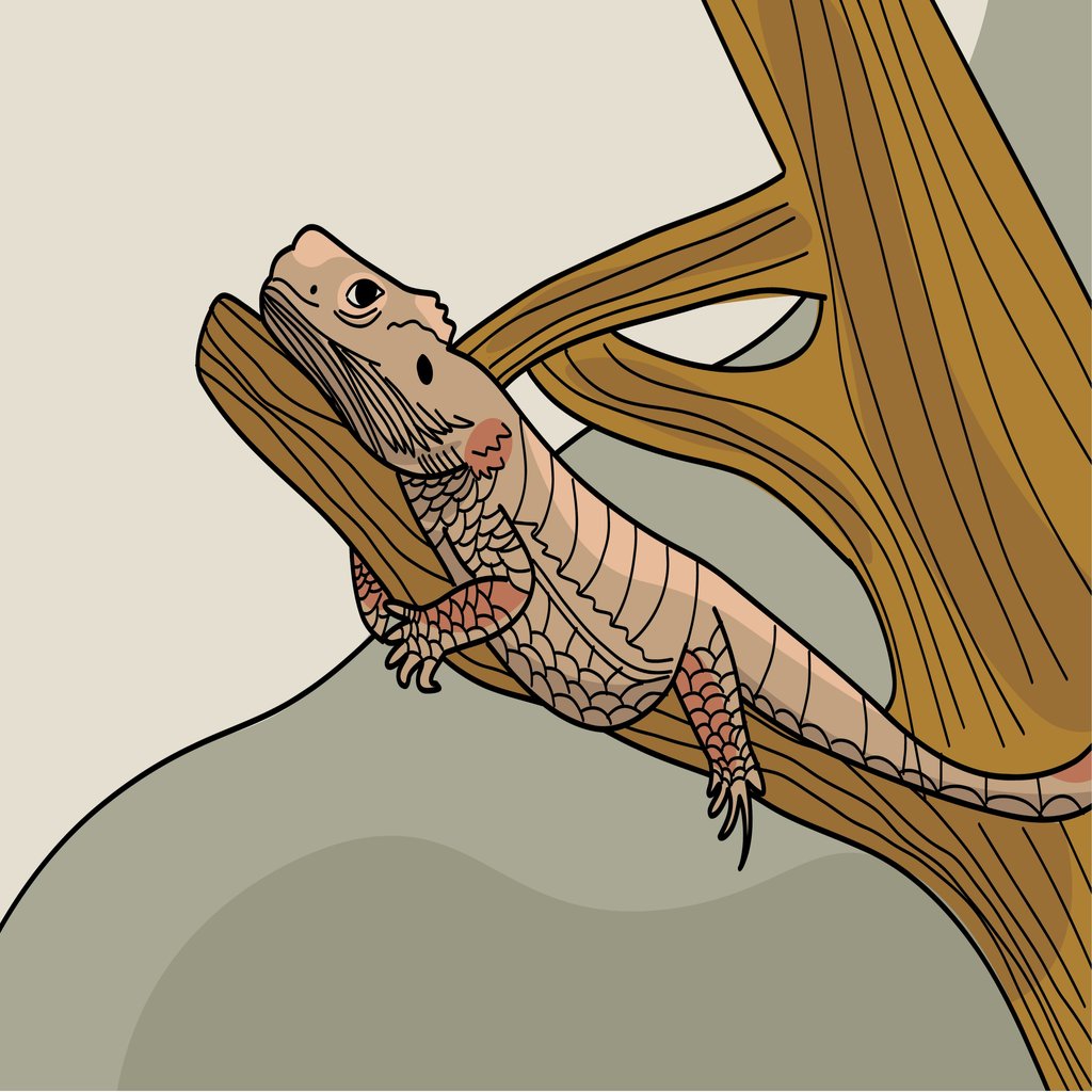 Lizard on a Tree Branch by Vladimira Slyusarenko