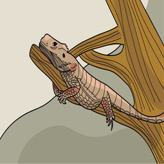 Lizard on a Tree Branch by Vladimira Slyusarenko