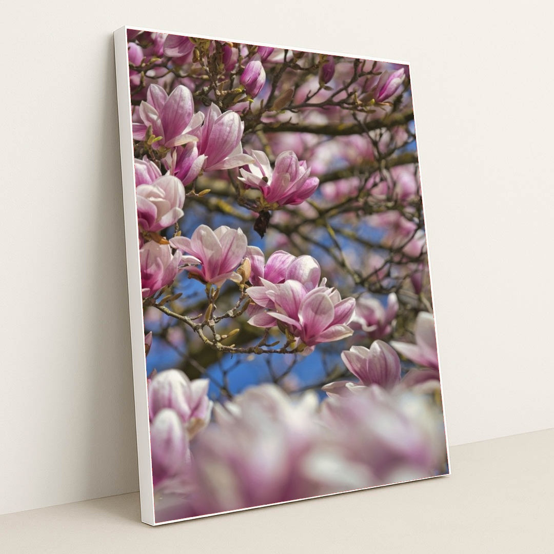 7090341183523 - Product Image