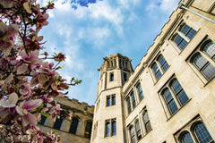 Dan Fuhrman - Low angle view of stunning gothic architecture adorned by blossoming magnolia flowers under a blue sky.