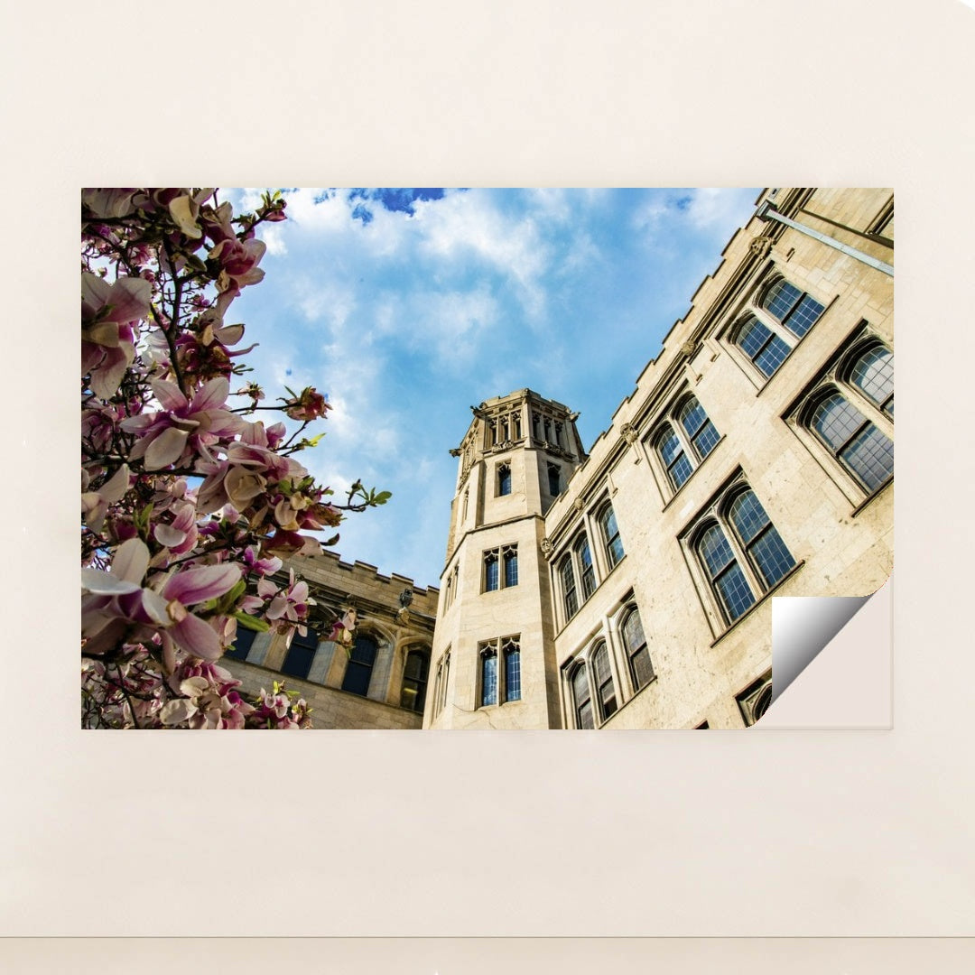 7090351996963 - Product Image