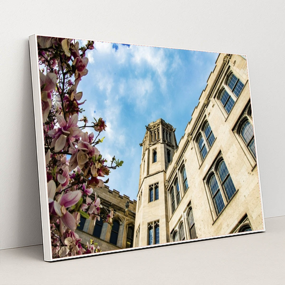 7090351996963 - Product Image