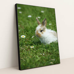 Meadow Whiskers by Thammy Kolb - Black Frame Stretchiez