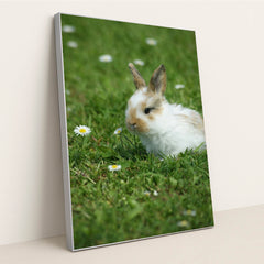 Meadow Whiskers by Thammy Kolb - Silver Frame Stretchiez