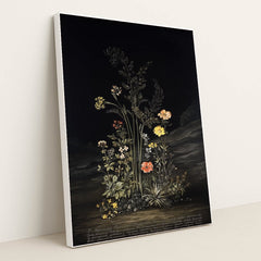 Midnight Flora by TD - White Frame Stretchiez