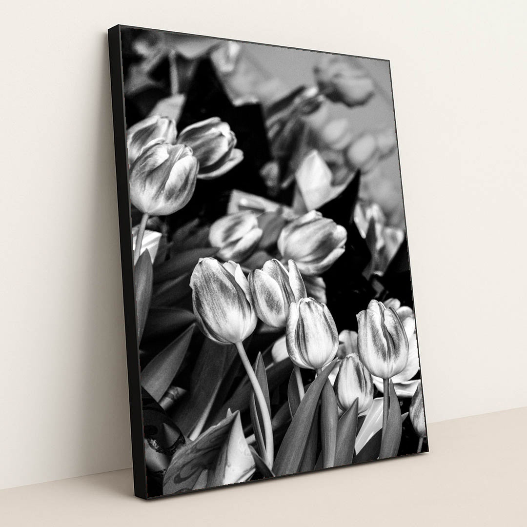 Midnight Tulips by Keith Jonson - Black Frame Stretchiez