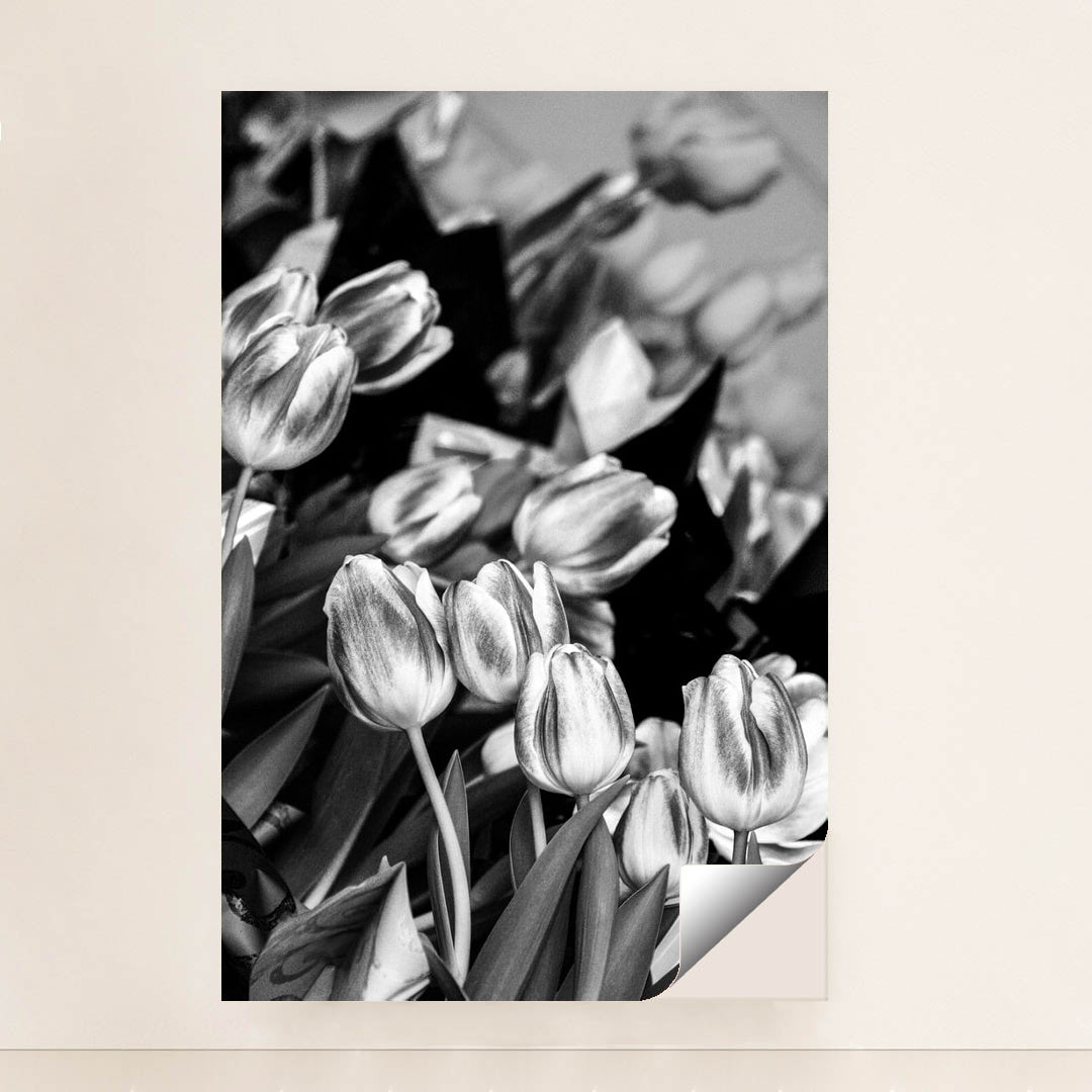 Midnight Tulips by Keith Jonson - Peeliez