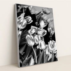Midnight Tulips by Keith Jonson - Silver Frame Stretchiez