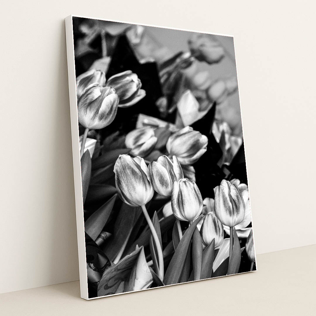 Midnight Tulips by Keith Jonson - White Frame Stretchiez
